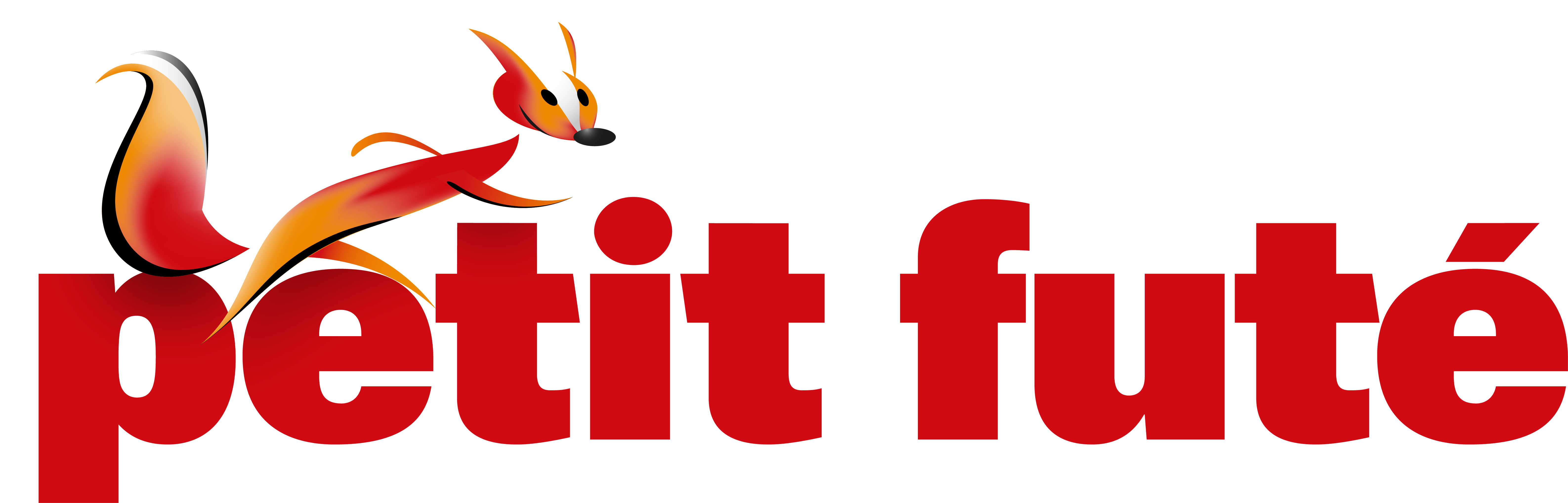 Logo Petit Futé Logo Petit Futé