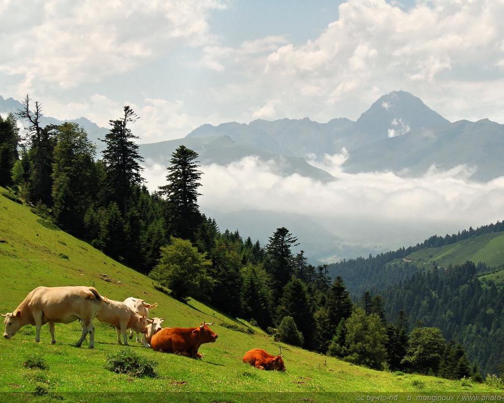 sites-touristiques-vallee-arros sites-touristiques-vallee-arros